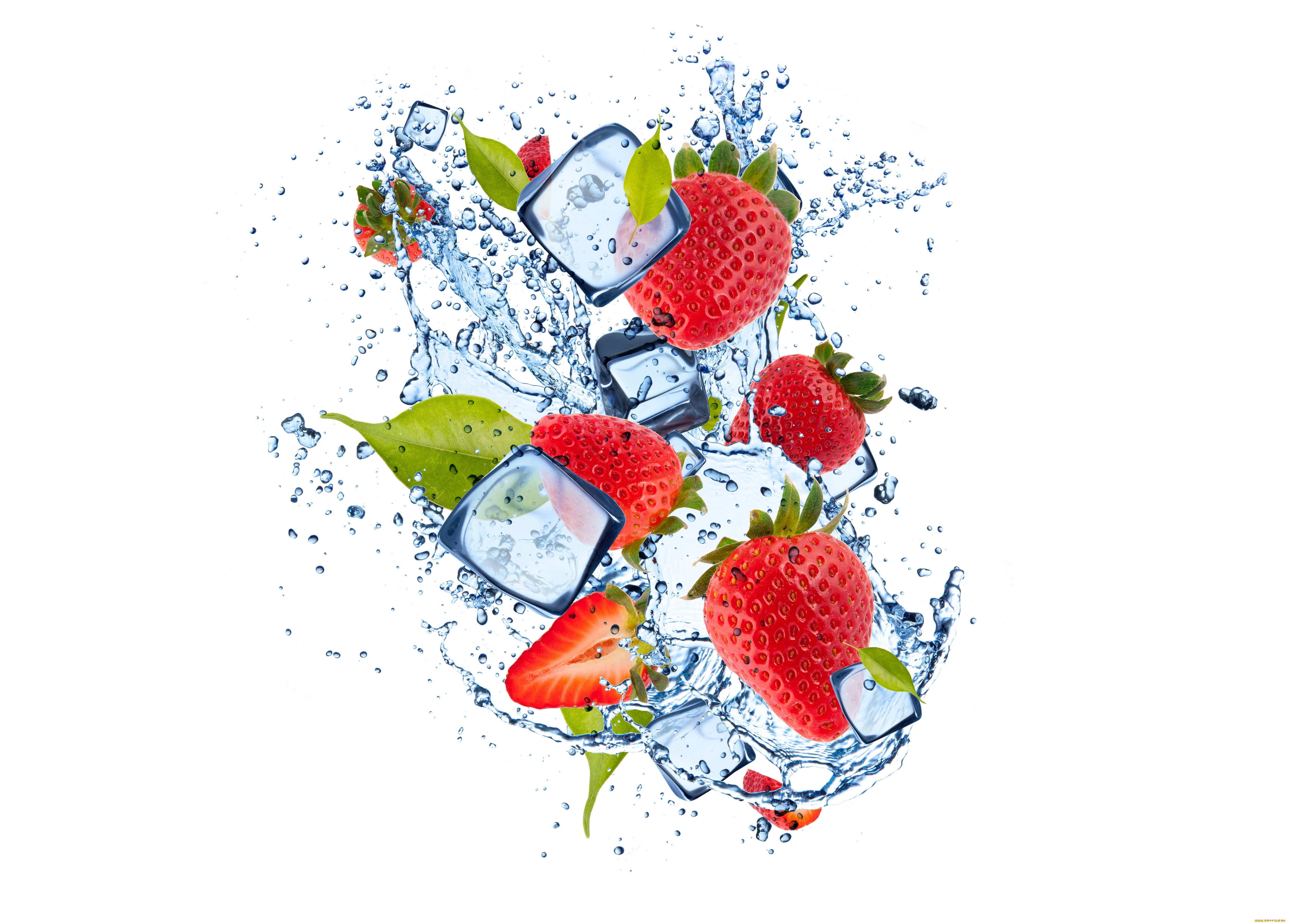 , ,  , , , , water, ice, strawberry, leaflets